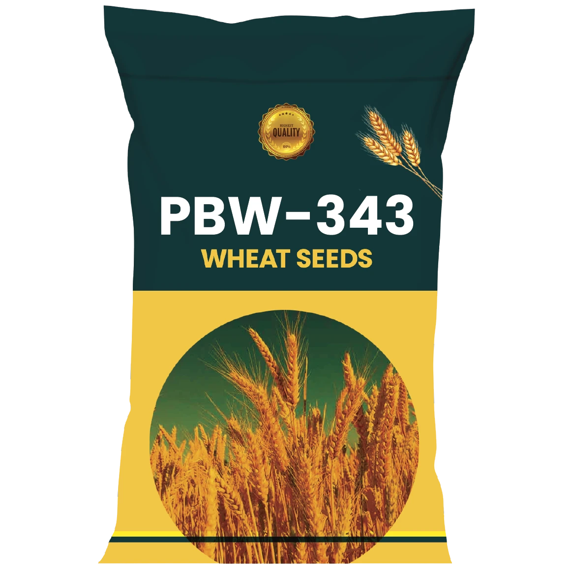 WHEAT SEEDS VARIETY PBW-343