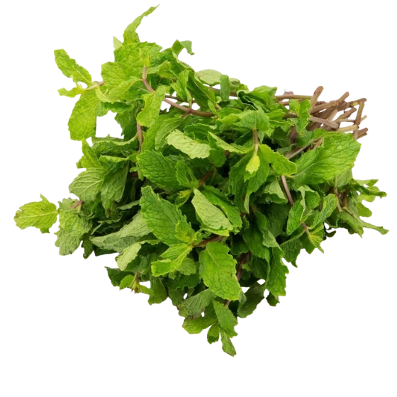 FRESH PUDINA